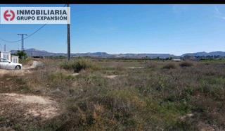 Finca rústica a Pedanías Oeste. Parcela terreno en aspe huerta mayor