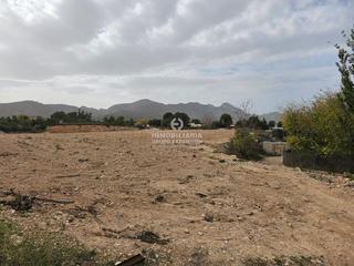Propriété à Romana (la). Terreno en la romana muy bien situado de 10.000 metros