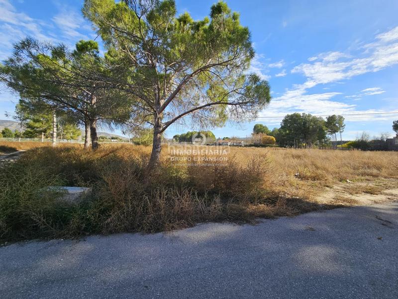 Foto a69a1089-0cb4-41c7-90f8-d2031c286efe. Chalet in Las Cruces Villena