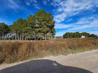 Propriété à Las Cruces. Terreno en villena de 7.600 metros de parcela muy bien situado