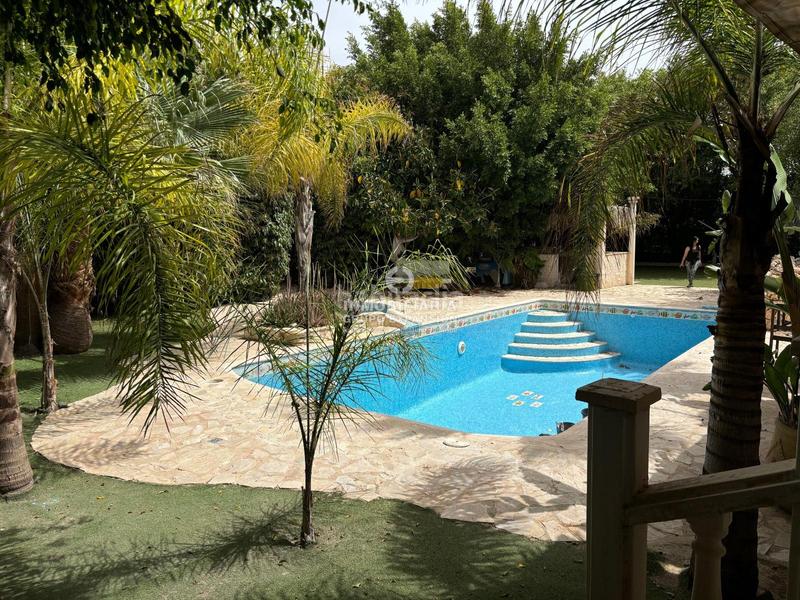 Foto 63ab0de1-ed3e-4c9b-8034-38299760eaa4. Xalet amb piscina a Centro Elche / Elx