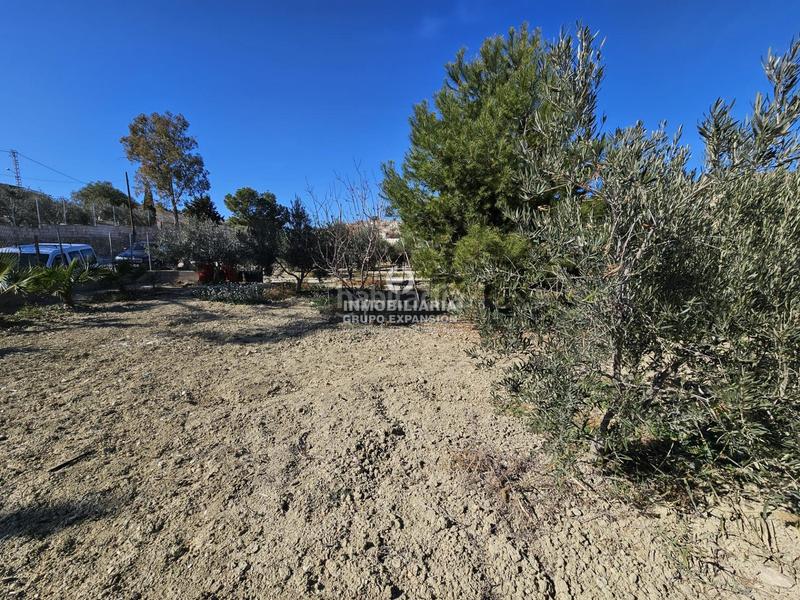 Foto 5d443d5b-34a6-43a2-bd82-5edd716a1ce3. Finca rústica a El Castillo Aspe