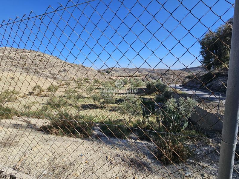 Foto a9ca2b16-864c-4770-b575-09712d22af35. Finca rústica a El Castillo Aspe