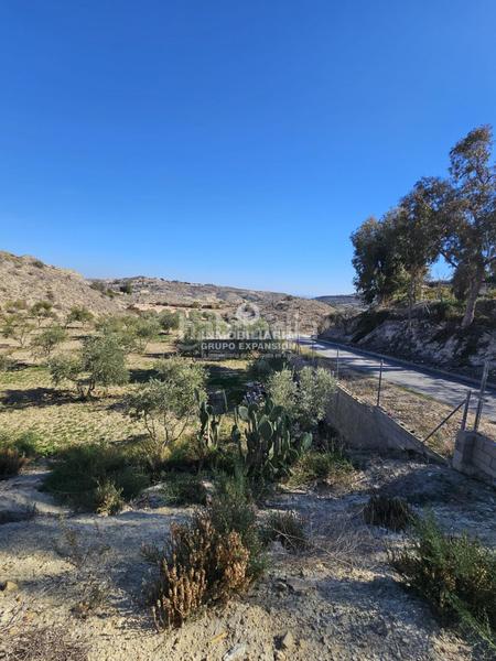 Foto ba652629-93ca-4c76-abcb-7f2ce8aac063. Finca rústica a El Castillo Aspe