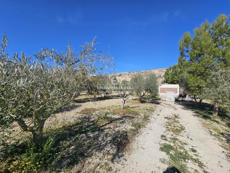 Foto fd42878f-9c34-403f-b8f7-2f31fb7d74a9. Finca rústica a El Castillo Aspe