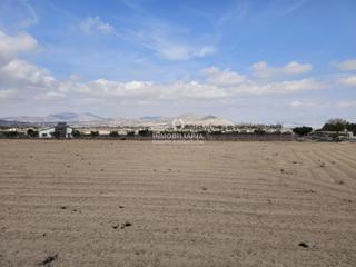 Xalet a El Castillo. Casa de campo en aspe con terreno de 9.300 metros muy bien situa