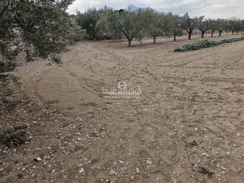 Foto 50f29396-fb9e-4d64-b380-6a7853802033. Chalet in El Castillo Aspe