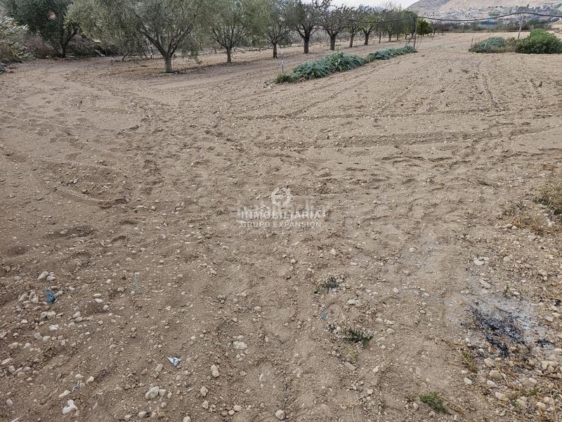 Foto 7188cdf9-2e9f-4143-9d51-00912929ff12. Chalet in El Castillo Aspe