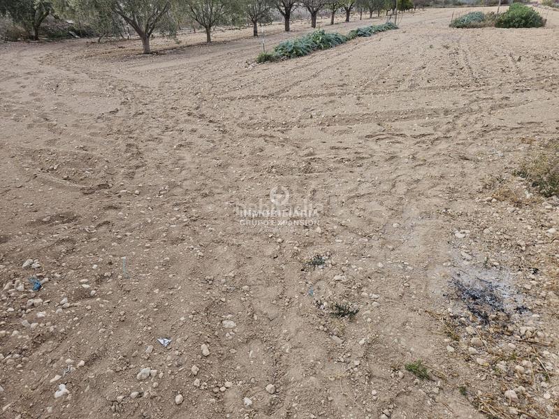 Foto 8ee41c41-1d3c-4f3e-8370-22c4e27012cd. Chalet in El Castillo Aspe