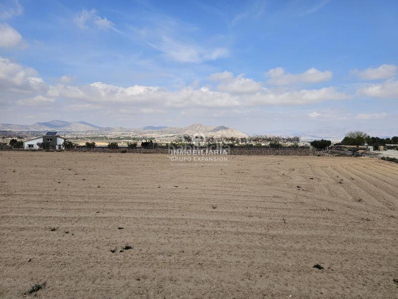 Foto 957e6893-1874-4351-b3ad-c2489505d005. Chalet in El Castillo Aspe