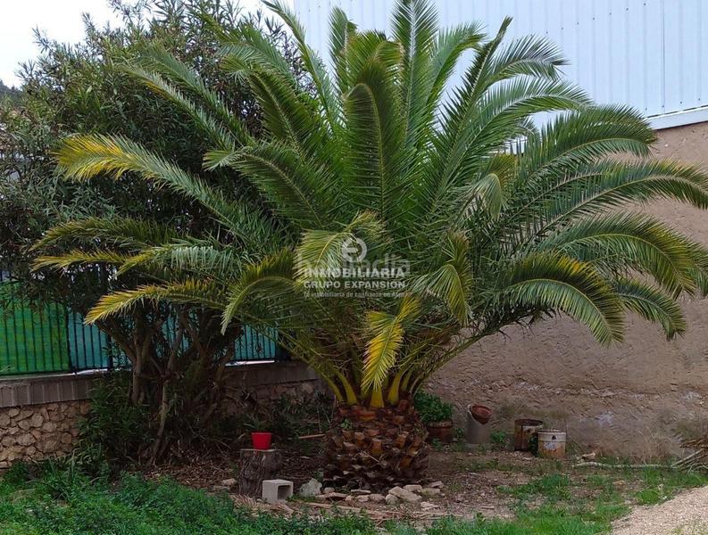 Foto 521983b4-f285-4e02-9bd7-506b8fdf3e1f. Haus in Las Cruces Villena