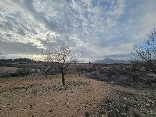 Landgut in Hondón de los Frailes. Terreno en hondón de los frailes muy bien situado