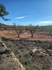 Propriété à Romana (la). Terreno rural de 5.330 metros en la romana, zona la algayat muy