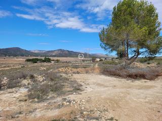 Finca rústica a Monòver. Terreno en monovar de 5.519 metros muy bien situado