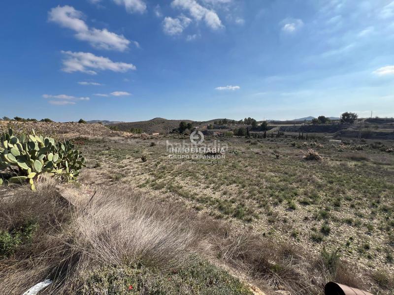 Foto f7362568-f9eb-4499-9693-a09d00239dab. Chalet magnífico chalet con muchas posibilidades muy bien situado en Aspe