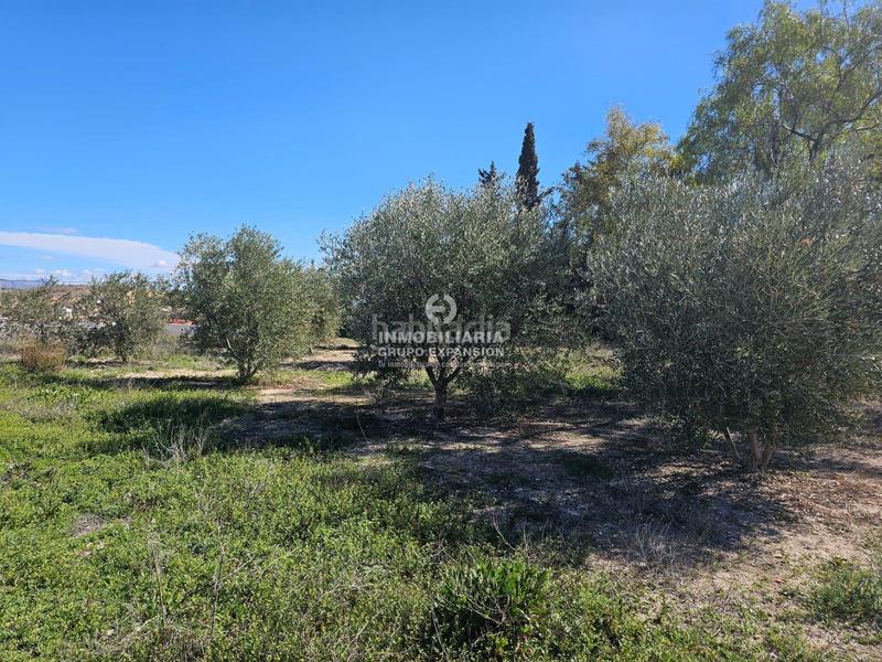 Foto 85649c5b-24b3-4e6a-aa5c-95ec79429472. Chalet dans El Castillo Aspe