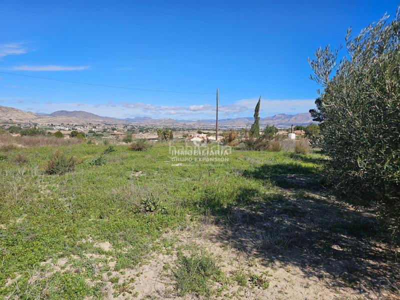 Foto 87b3de20-b2ce-4966-855a-bf0e18897067. Chalet dans El Castillo Aspe