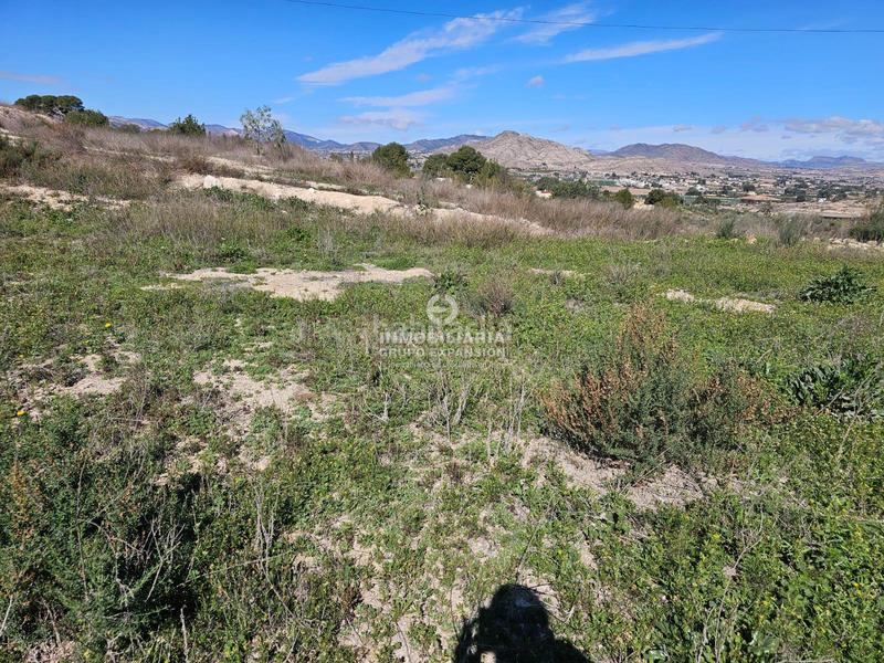 Foto a64ff501-77ff-44a3-ae1c-0ed6b1ad8a8c. Chalet dans El Castillo Aspe