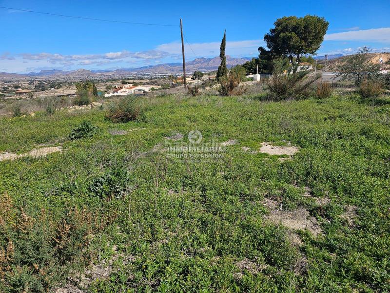 Foto b32c4a7d-6611-43c6-9f87-18a959fb30c1. Chalet dans El Castillo Aspe