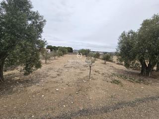 Propriété à Monforte del Cid. Estupendo terreno en monforte del cid de 1.150 metros muy bien s