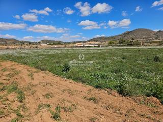 Rural plot in Hondón de las Nieves. Terreno de 11.000 metros en hondón de las nieves muy bien situad