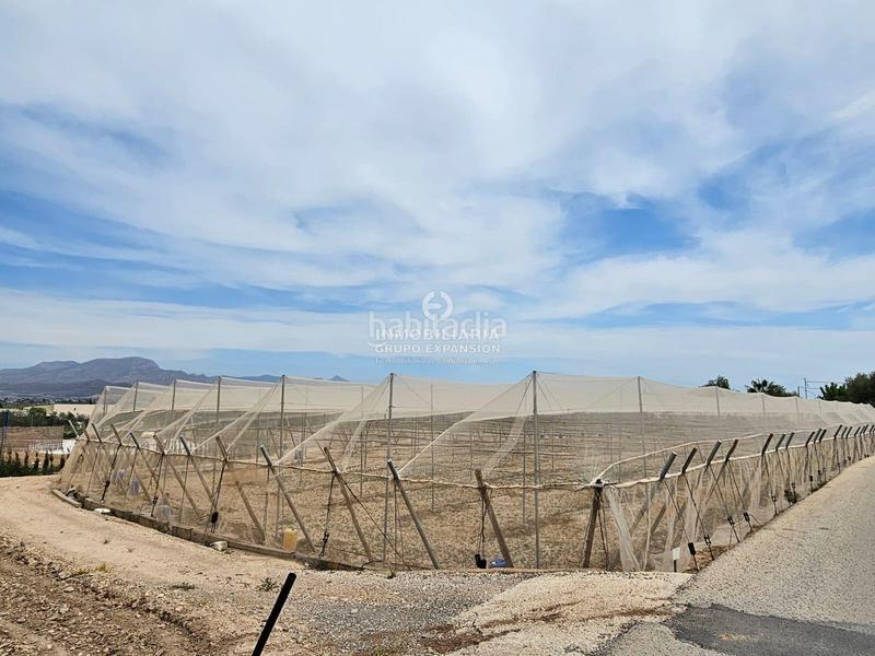 Foto df2fc42d-22ff-45b2-b244-649a6f11c4ea. Finca rústica a El Castillo Aspe