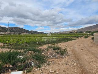Finca rústica a Novelda. Terreno en novelda en termino de monforte del cid muy bien situa