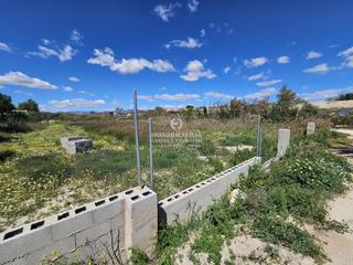 Finca rústica a El Castillo. Terreno en aspe de 3.000 metros muy bien situado en zona huerta