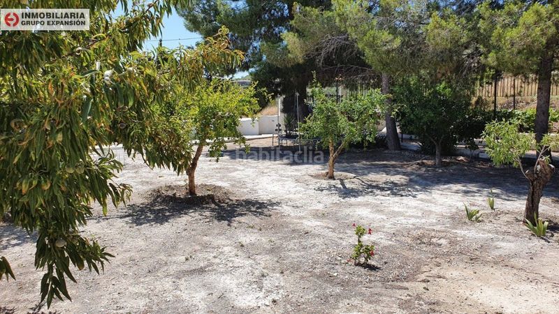 Foto 570df263-3318-4a9d-8dfc-72ea427f8a00. Xalet amb piscina a El Castillo Aspe