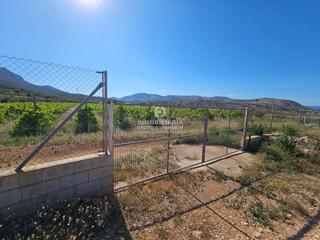 Propriété à Romana (la). Terreno en la romana de 10.917 metros muy bien situado