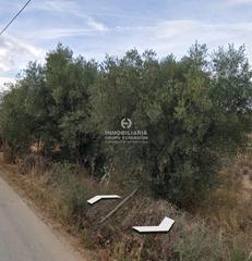 Finca rústica a El Castillo. Terreno en aspe de 2.351 metros muy bien situado