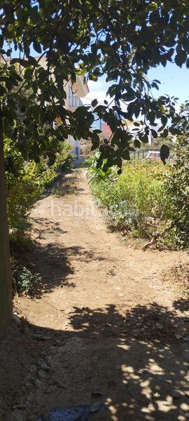 Foto cef34749-48de-4993-8dff-b128d4564386. Xalet a Centro Orotava (La)