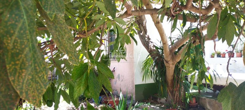 Foto f6ebc53a-0c5e-439c-a10d-9408eb384af4. Xalet a Centro Orotava (La)