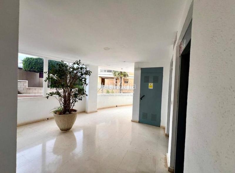 Foto cdd0d80d-4611-48e3-a665-ba60f0d2c2e9. Flat with pool in Los Arenales del Sol Elche / Elx