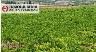 Finca rústica a Pedanías Oeste. Terreno en aspe bien situado