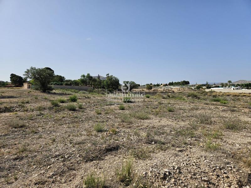 Foto 12a709f9-0ca9-4ac1-9faa-98841c951c8a. Finca rústica a Novelda