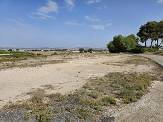Finca rústica a Novelda. Terreno en novelda de 15.000 metros muy bien situado