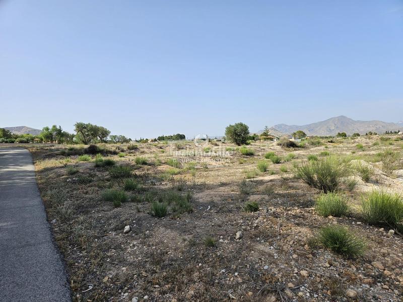 Foto b3f7938b-eb16-499f-8d74-e0462faff89e. Finca rústica a Novelda