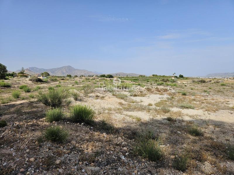 Foto f74d8074-e9f6-41d1-b18a-c0dd5aec5ab2. Finca rústica a Novelda