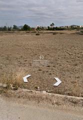 Finca rústica a El Castillo. Estupendo terreno de 8.236 metros en aspe muy bien situado