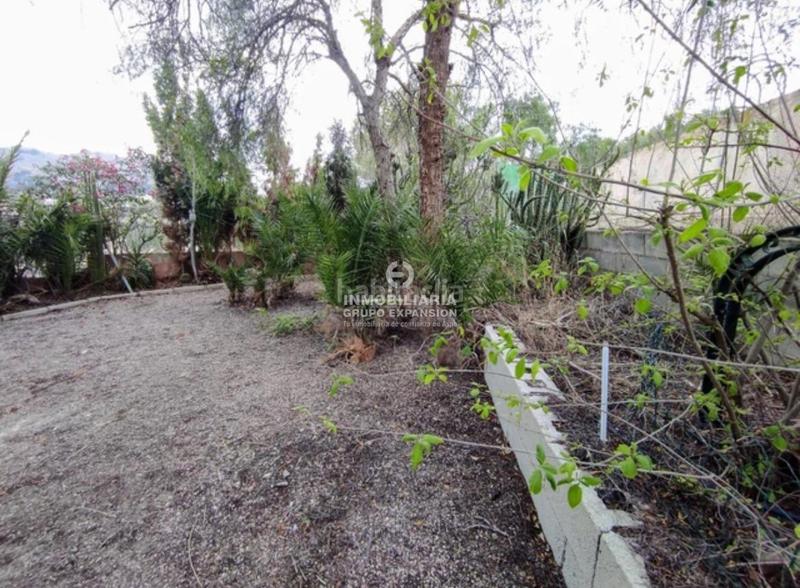 Foto cf1dcd95-f3af-44db-a137-811c489d1c2e. Xalet amb calefacció piscina a El Castillo Aspe