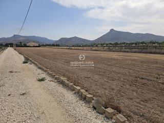 Finca rústica a El Castillo. Terreno en aspe de 4.270 m muy bien situado  zona alcana