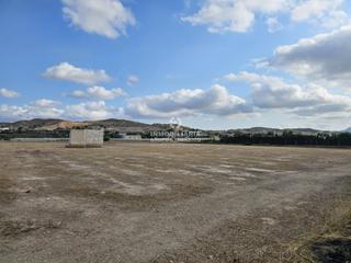 Finca rústica a El Castillo. Terreno en aspe de 10.500 m con casa de aperos de 23 m muy bien