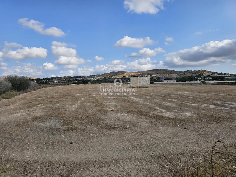 Foto 29d6c37d-ebd2-4cfa-b1f8-af1bd2158541. Finca rústica a El Castillo Aspe