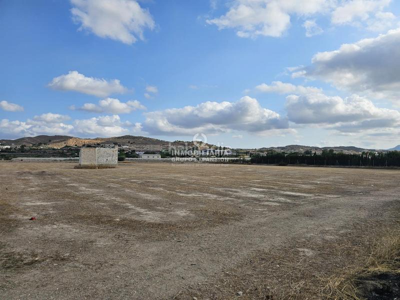 Foto 6d45e23b-3705-4d69-b525-65373293143f. Finca rústica a El Castillo Aspe