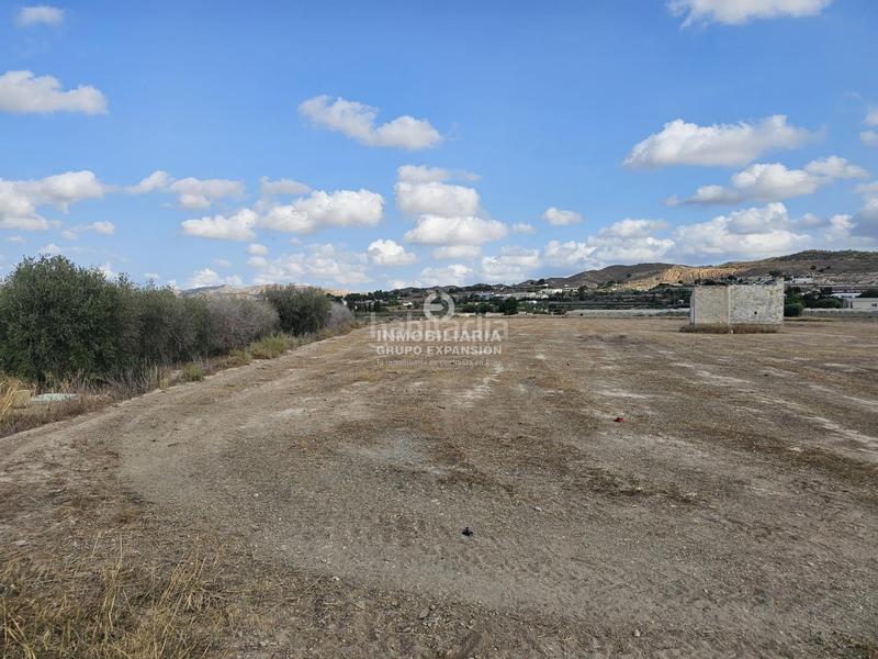 Foto c87382ea-54f2-42f2-90a2-68d22ed18ecc. Finca rústica a El Castillo Aspe