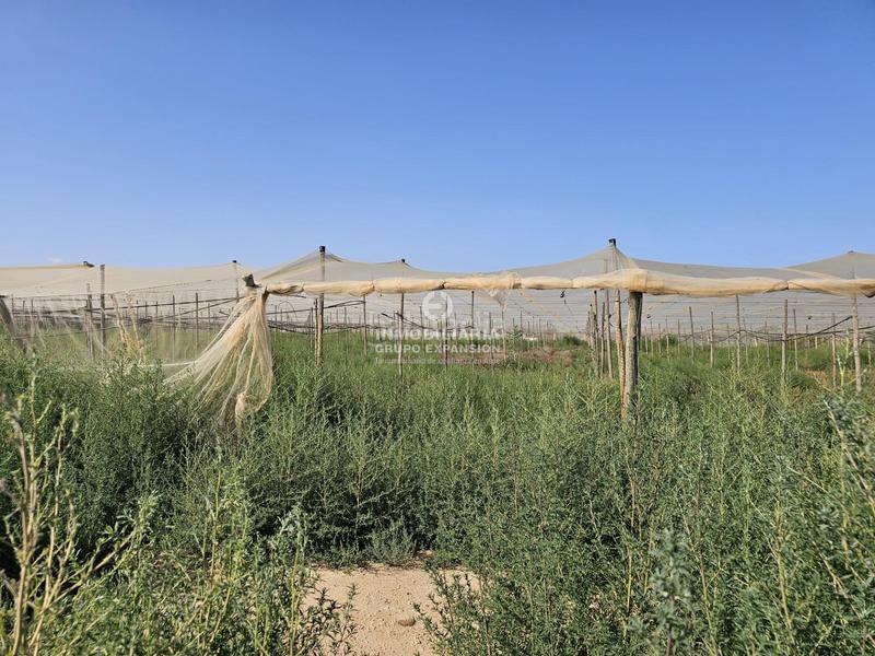 Foto 287a4e35-fbe0-4062-b83c-da7574ba3fa7. Chalet dans Monforte del Cid