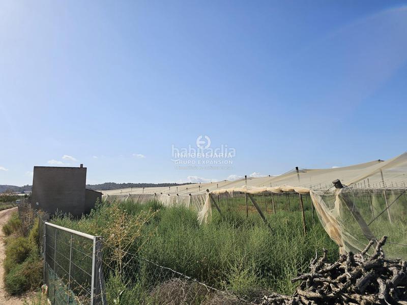 Foto 3a5388f5-ba6a-45c8-a0d9-2fa2a125d10c. Chalet dans Monforte del Cid