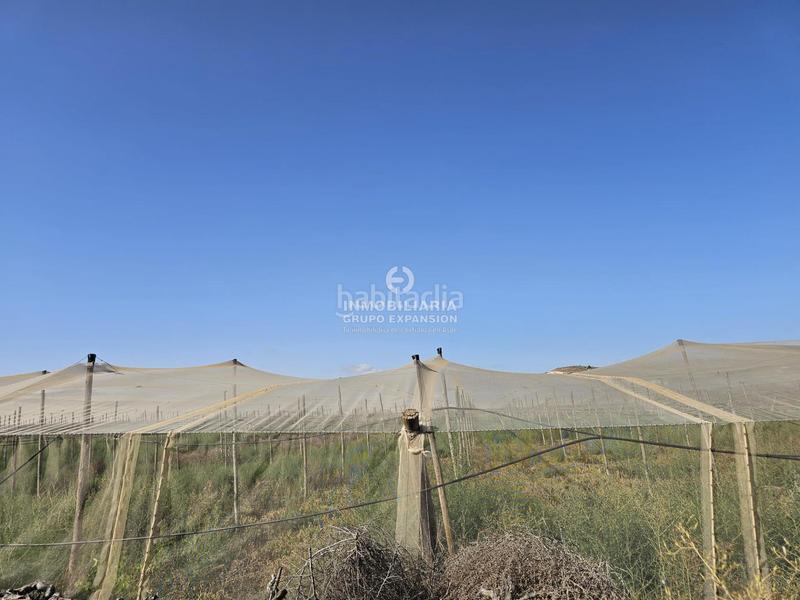 Foto 4835ba05-b94f-430b-9177-5d4f0789b774. Chalet dans Monforte del Cid