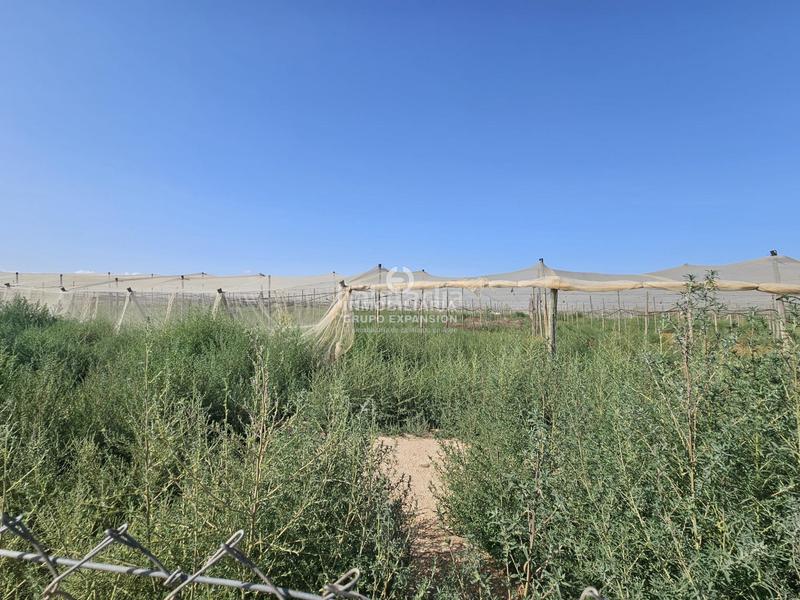 Foto 4e636a73-9e46-418f-90ee-289528088dac. Chalet dans Monforte del Cid